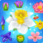 Free Download Blossom Charming: Flower games 1.3 APK