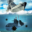 Free Download Sea Battle : Submarine Warfare 3.4.6 APK